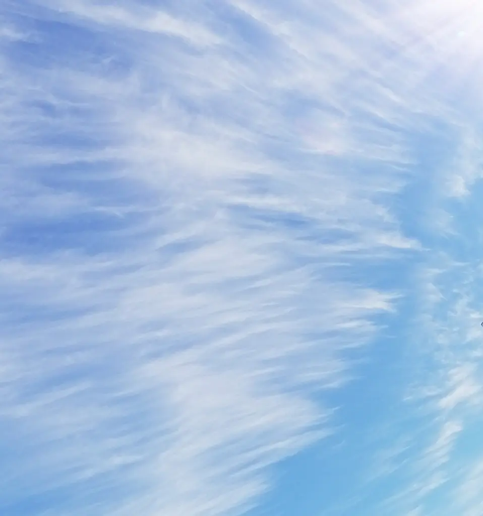 Condolence image of ♡Immer in♡meinem♡Herzen♡