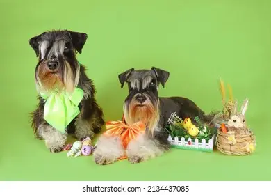 Condolence image of Iris mit Eliot und Linus im ♥