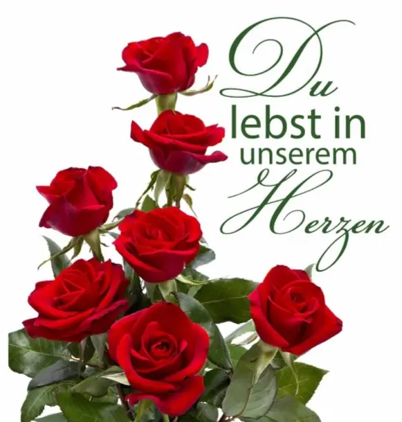 Condolence image of Daisy♥️ geliebt♥️ und unvergessen♥️