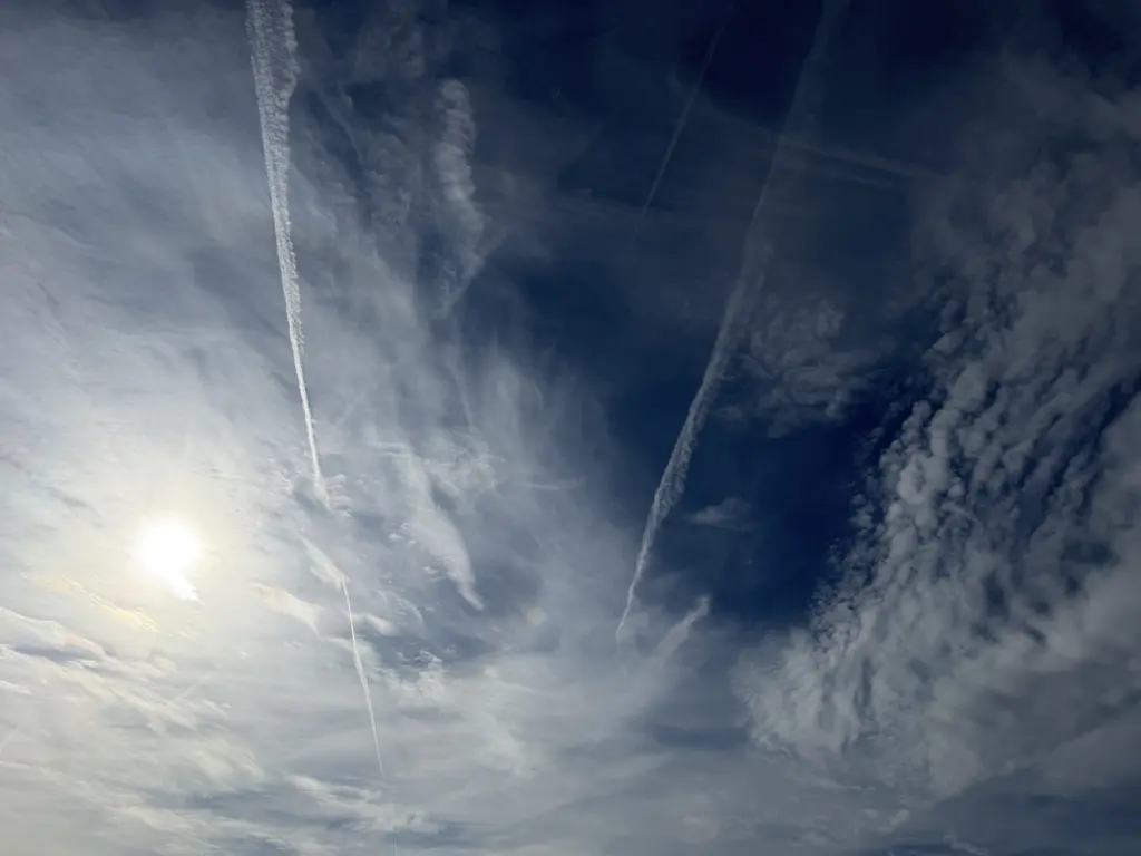 Condolence image of Snowy ❤️Daisy 💖und all die lieben Fellnasen