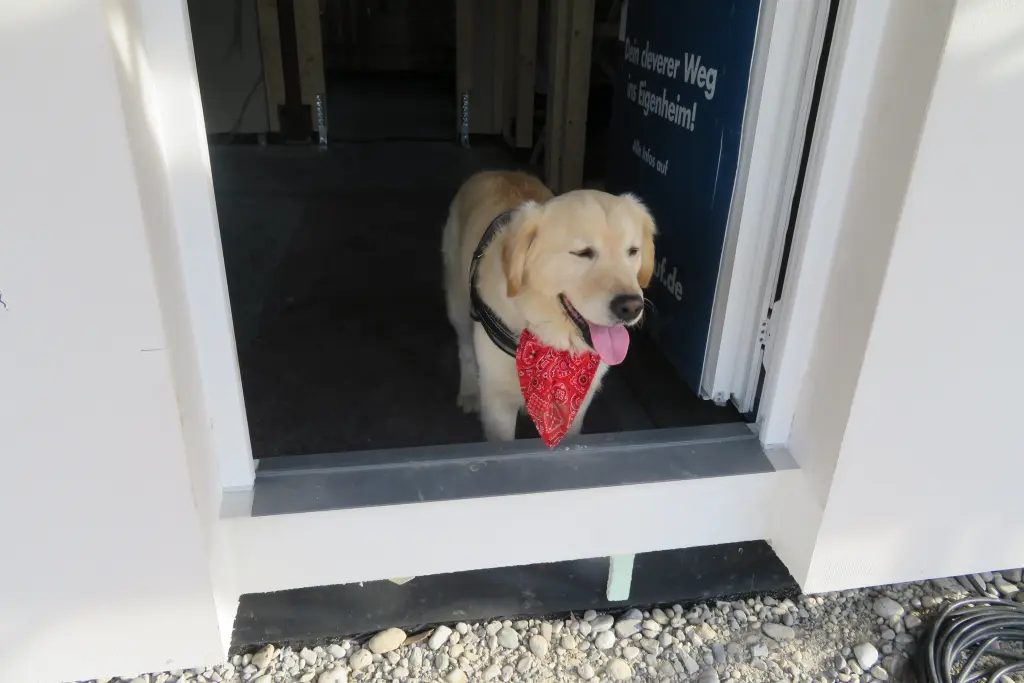 Condolence image of Peter