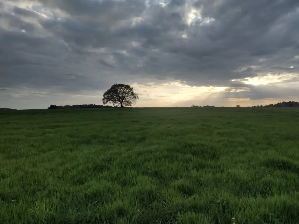 Condolence image of Corinna für Snowy❤️