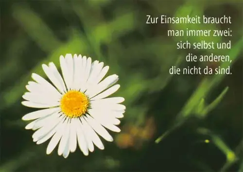 Condolence image of Petra mit Motte 🌸