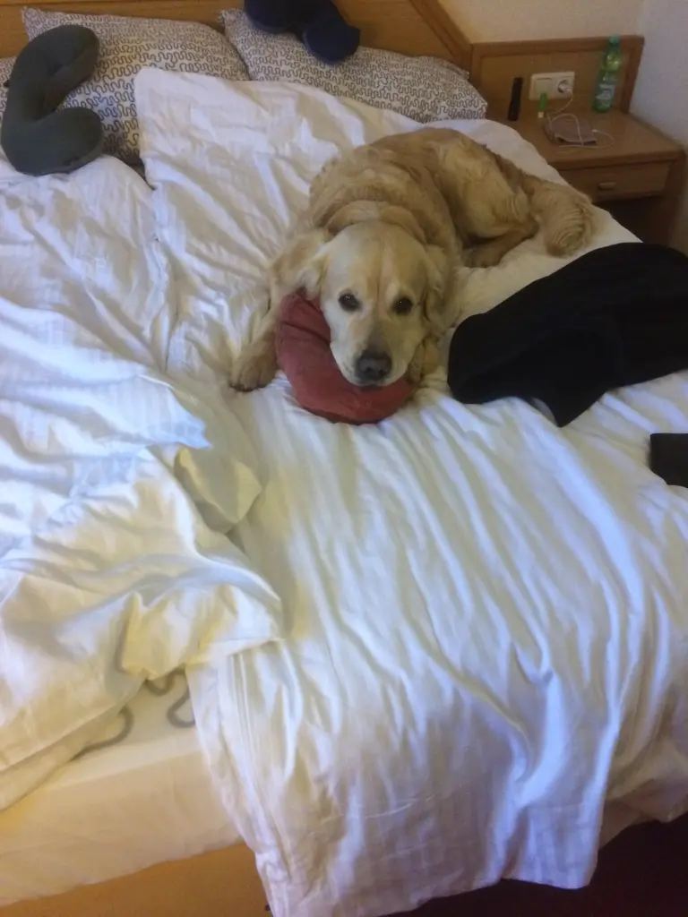 Condolence image of 🩷🩷