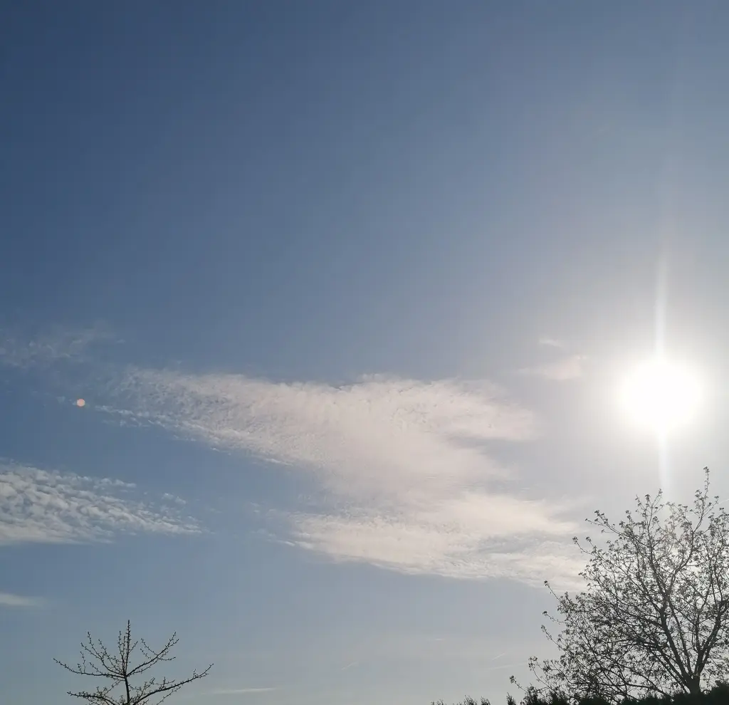 Condolence image of 🥀 ♡🥀 ♡🥀 ♡🥀 ♡