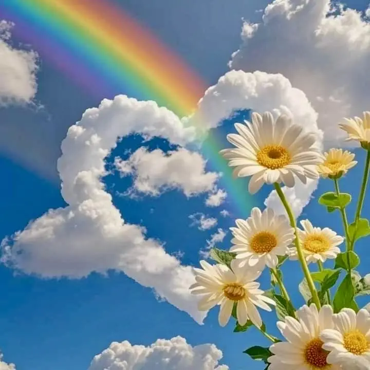 Condolence image of Heide mit Cita im Herzen❤️🐈‍⬛