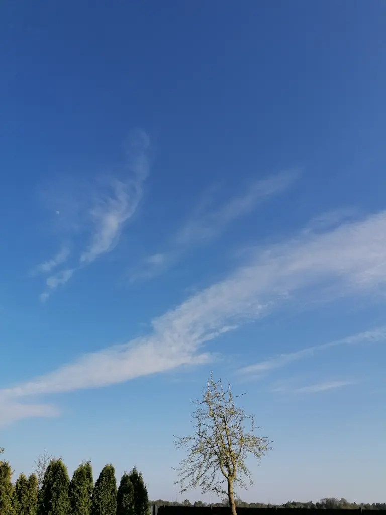 Condolence image of ♡