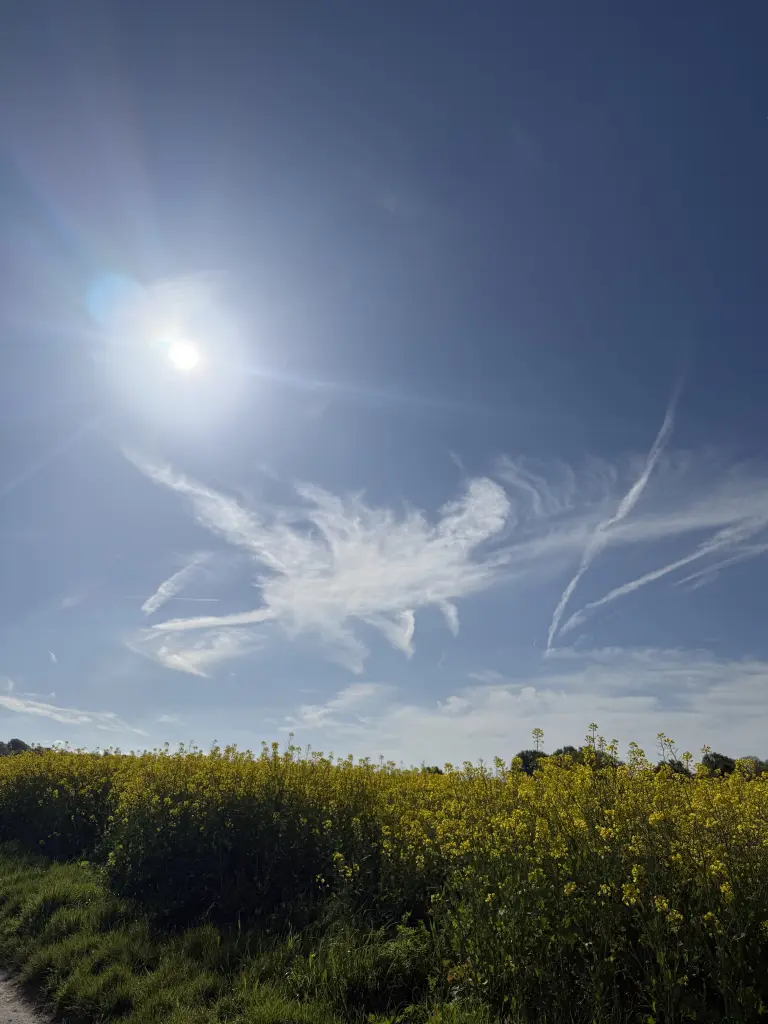 Condolence image of Danke♥️Snowy