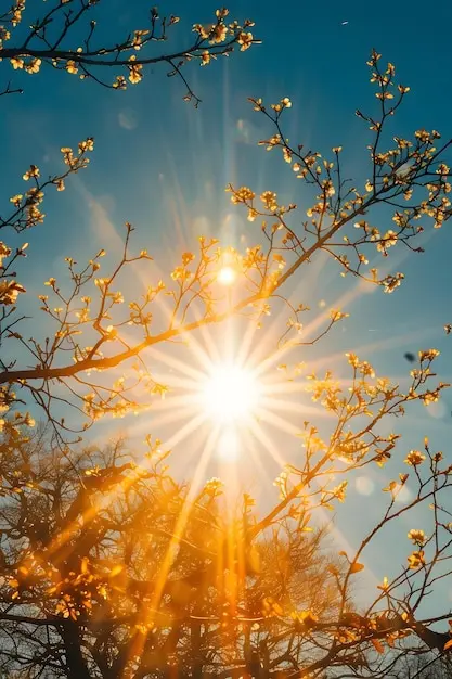 Condolence image of Immer ♡in♡meinem ♡Herzen ♡