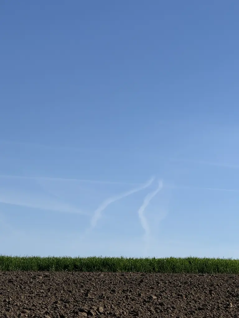 Condolence image of Danke Snowy Mama❤️