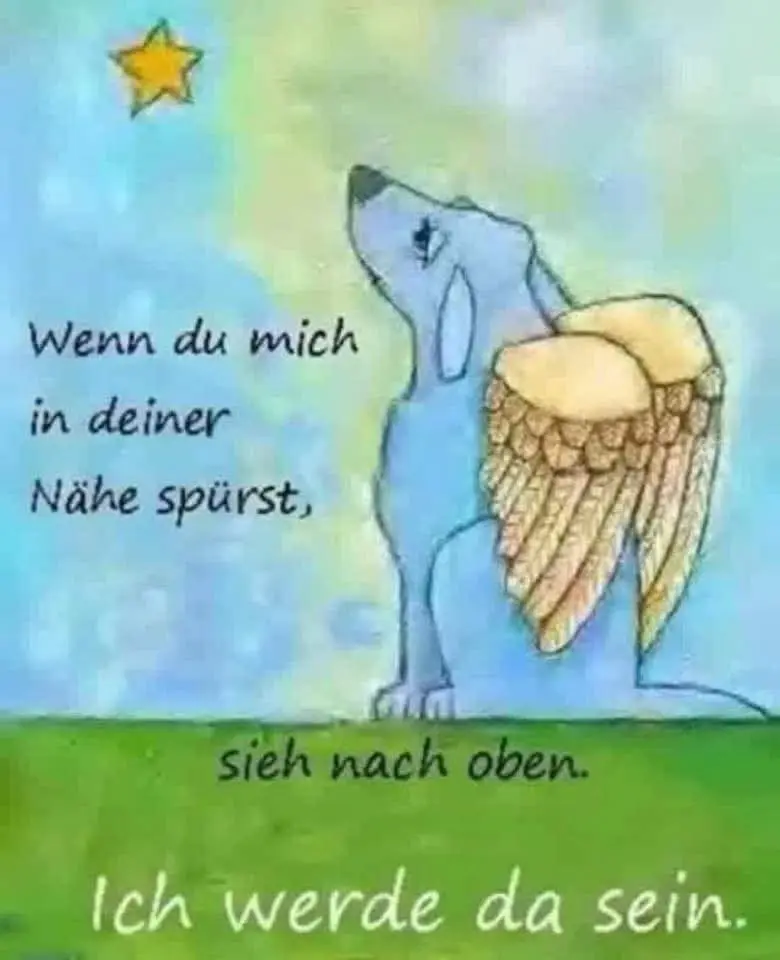 Condolence image of 🐾für Snowy 🌹