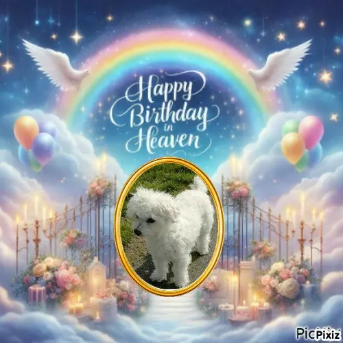 Condolence image of Tanja mit Timmy im 💖🐈🐾
