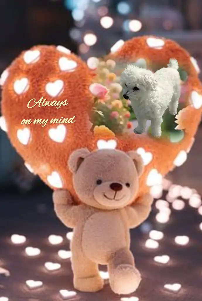 Condolence image of Teddy 💕