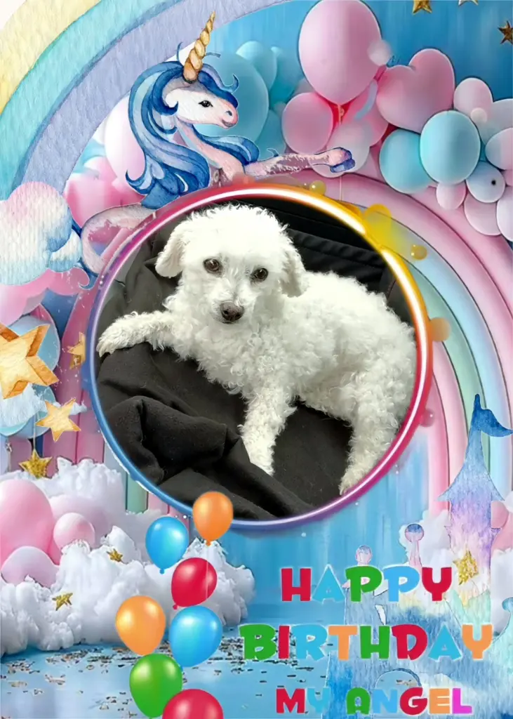 Condolence image of 20.Geburtstag🫶🫶🫶❤️❤️❤️🌹🌹🌹🎁🎁🎁🎂🎂🎂