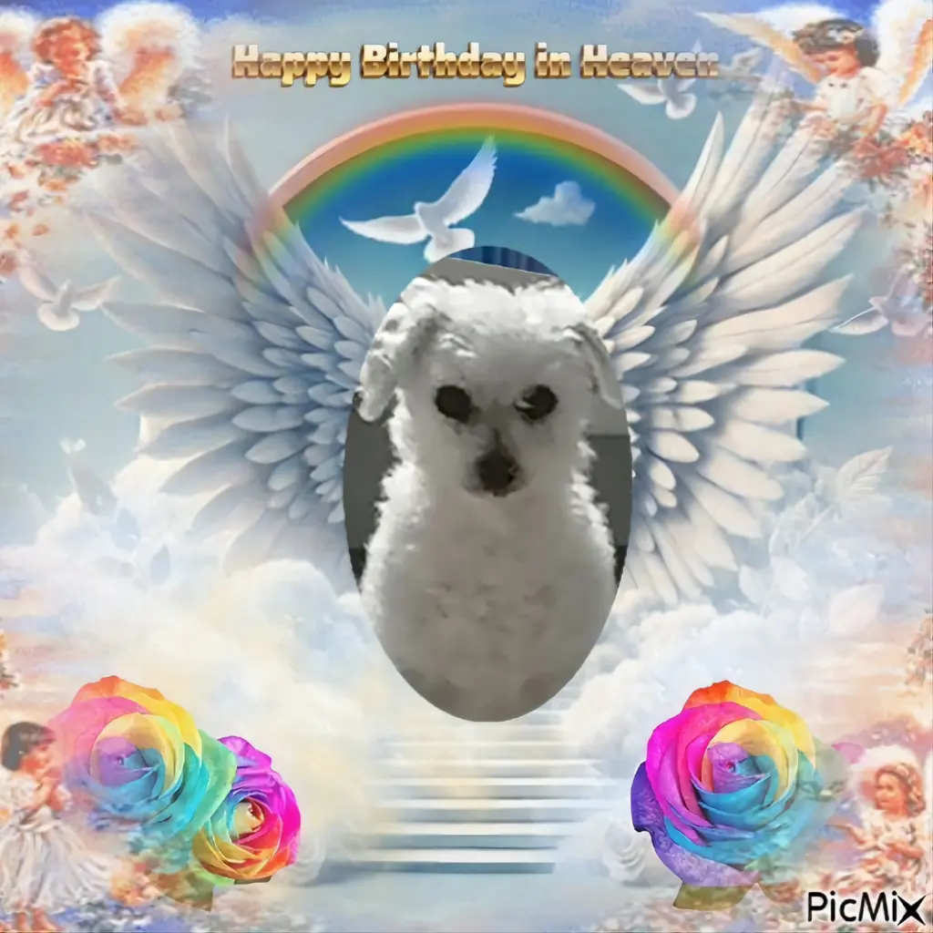 Condolence image of 🌹🌹🌹🎂🎁🎂🌹🌹🌹