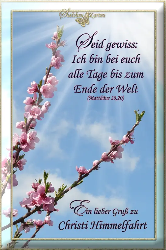 Condolence image of Snoopy und Pünktchen❤️❤️