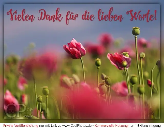 Condolence image of Willi ❤️ und Melitta ❤️ sagen Dankeschön 🥀