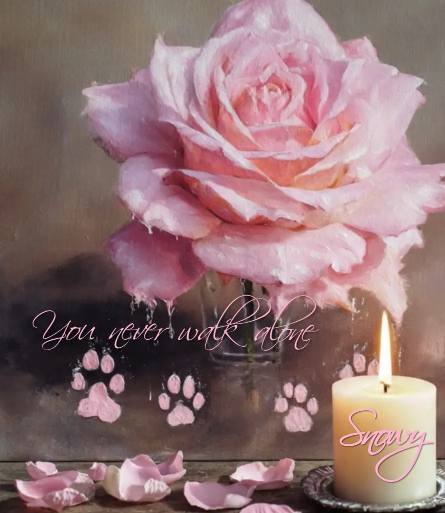 Condolence image of 🥀 Stilles🥀♡🥀 Gedenken🥀
