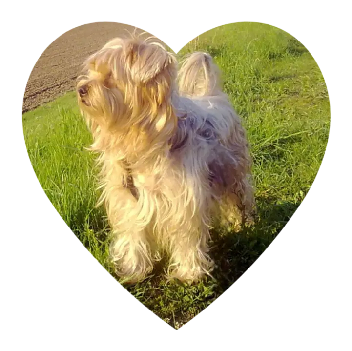Condolence image of Jacki♥️
