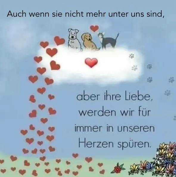 Condolence image of Heide mit Cita im Herzen❤️🐈⬛