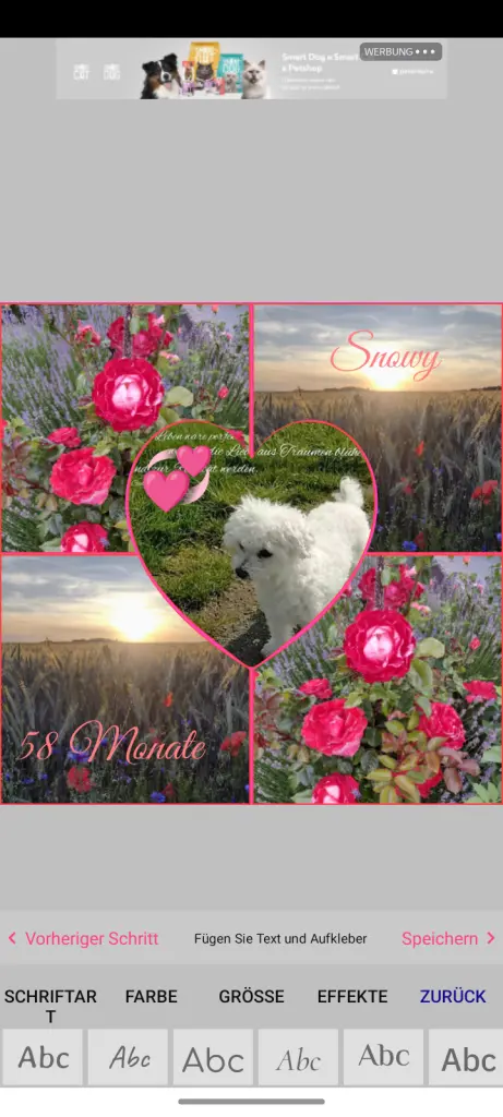 Condolence image of Corinna 💞 für Snowy-Schatz💕