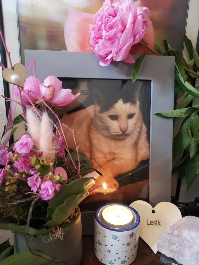 Condolence image of Olena mit Lesik für immer im Herzen ❤️