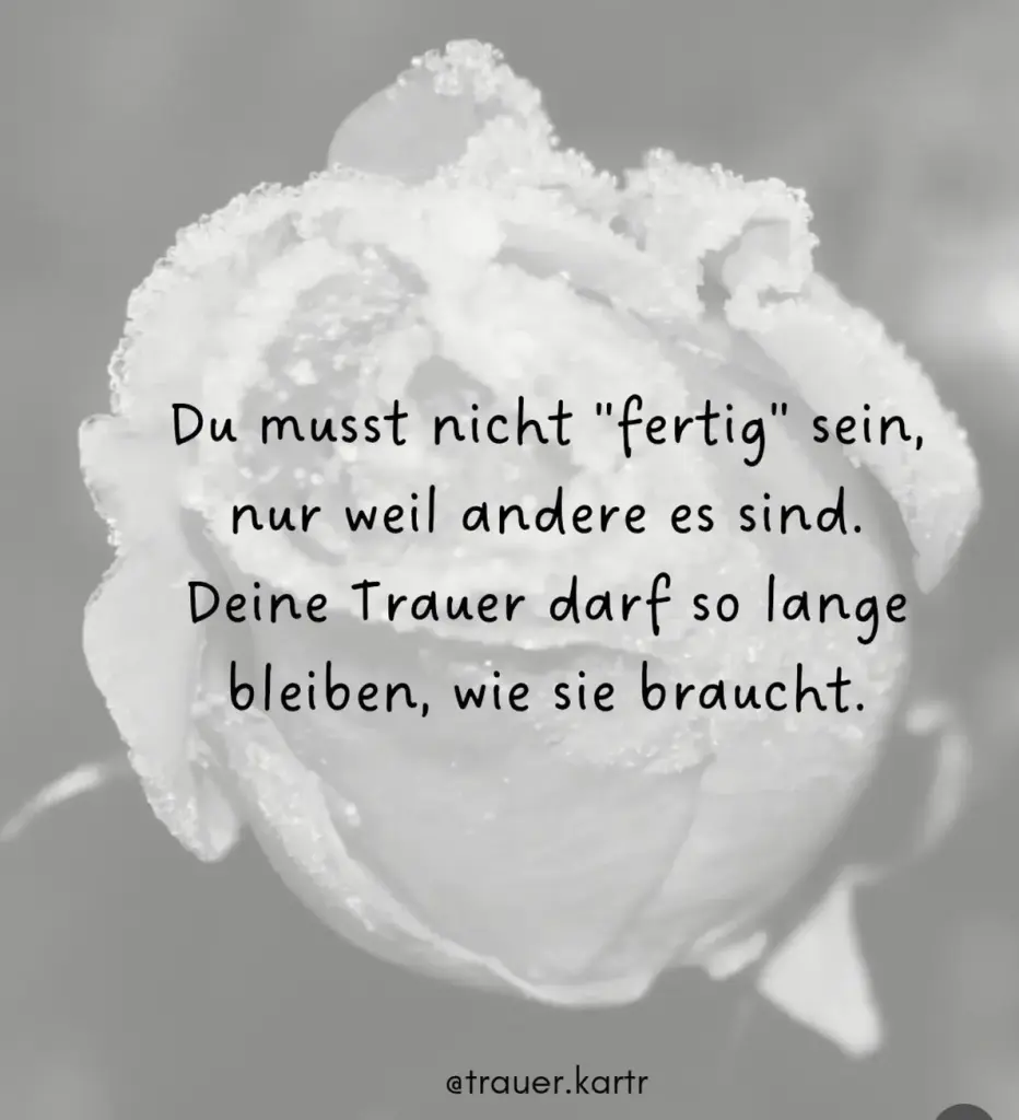 Condolence image of Für Snowy🧸
