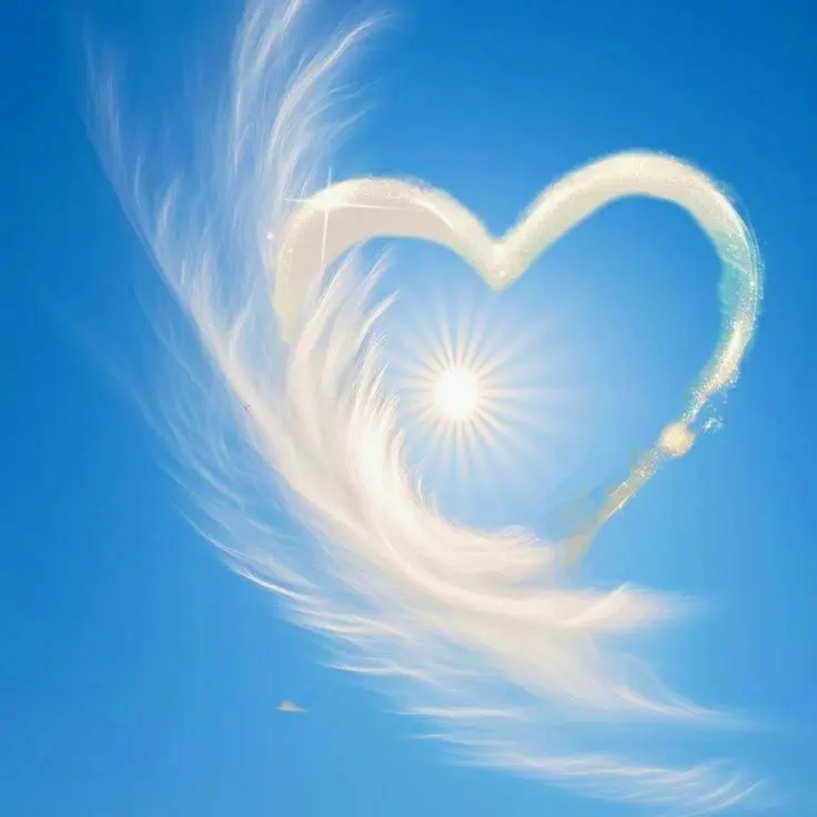 Condolence image of 🌹Rosen für Micky 🌹