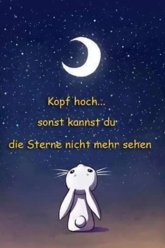Condolence image of Mona ❤️ für Snowy💗