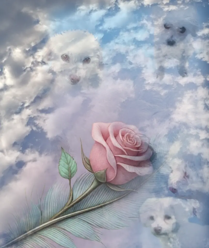Condolence image of 🥀🤍🕊️🤍🥀