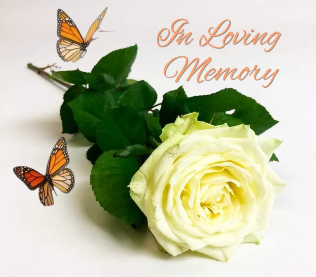Condolence image of 🌹Snowy🌹 geliebt♥️ und unvergessen♥️