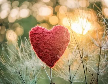 Condolence image of Melitta