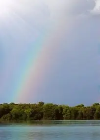 Condolence image of ♡ ♡ 🕊️ ♡ ♡