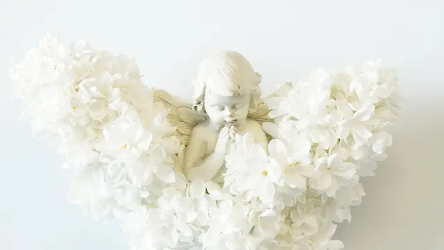 Condolence image of Petra mit Motte 🌻