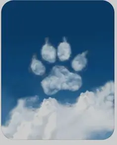 Condolence image of Für Daisy von ❤️