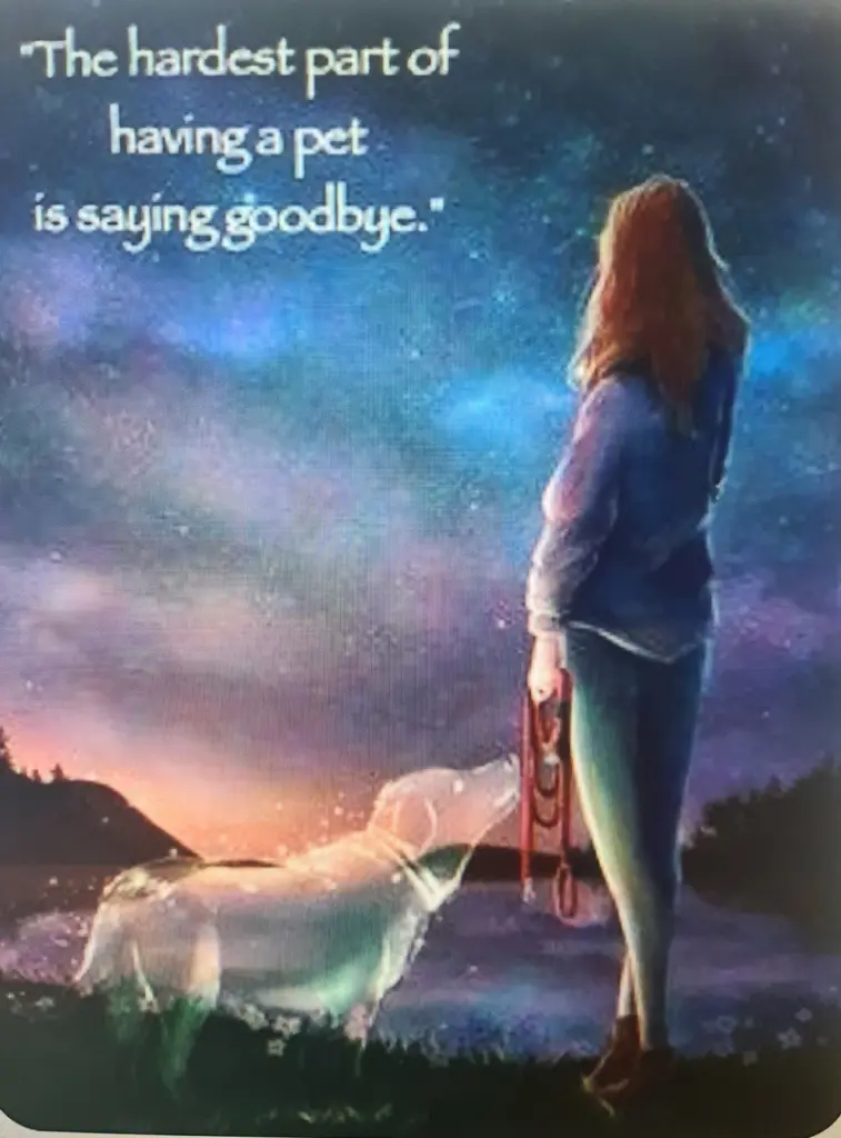 Condolence image of Iris mit Eliot und Linus im ♥