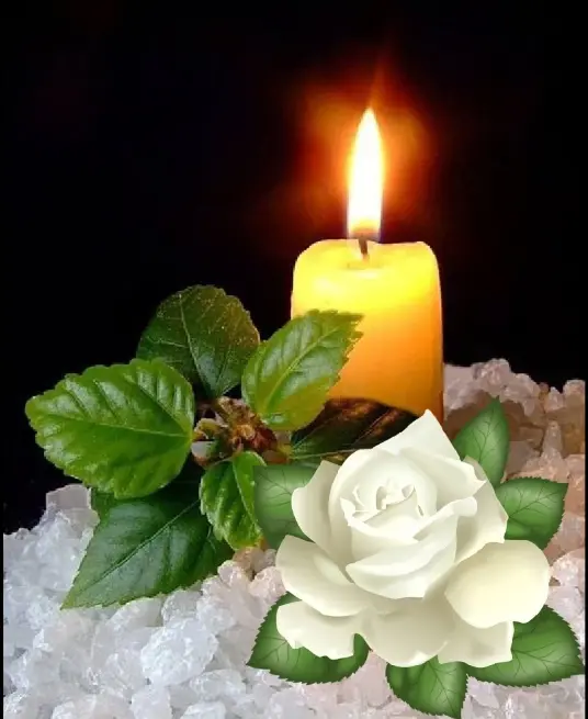 Condolence image of Für Buffy 🌹