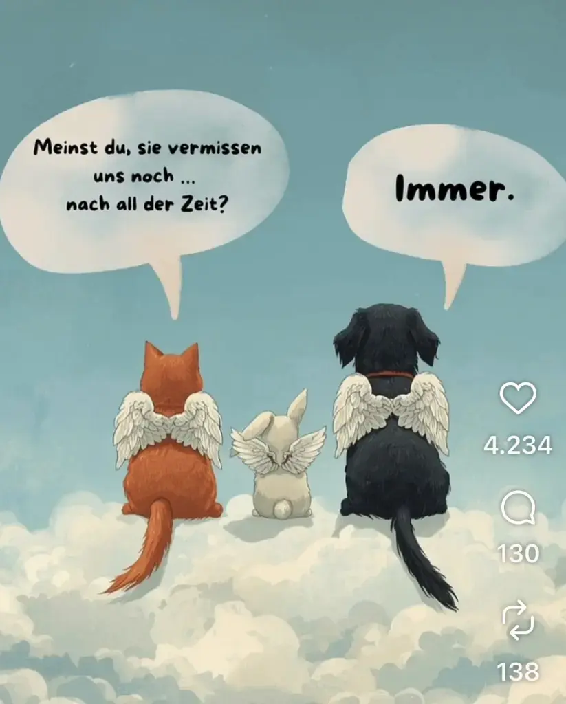 Condolence image of Für Snowy von ❤️
