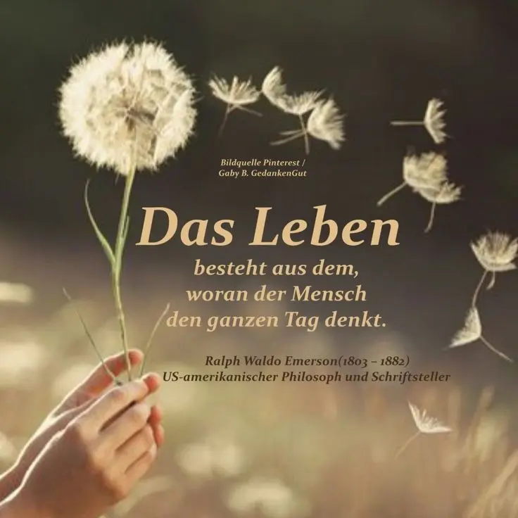 Condolence image of ⭐️5. Sternenjahrestag⭐️ für Snowy♥️