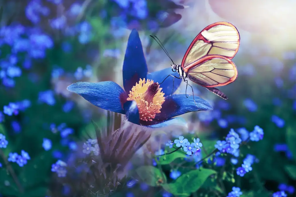 Condolence image of Petra mit Motte 💐