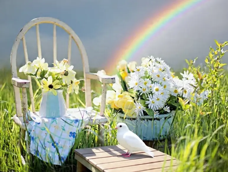 Condolence image of Leuchten der Hoffnung🕊️ einen Herzschlag entfernt
