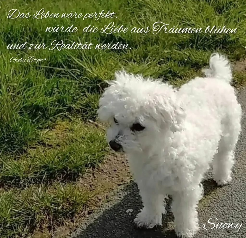 Condolence image of Gaby