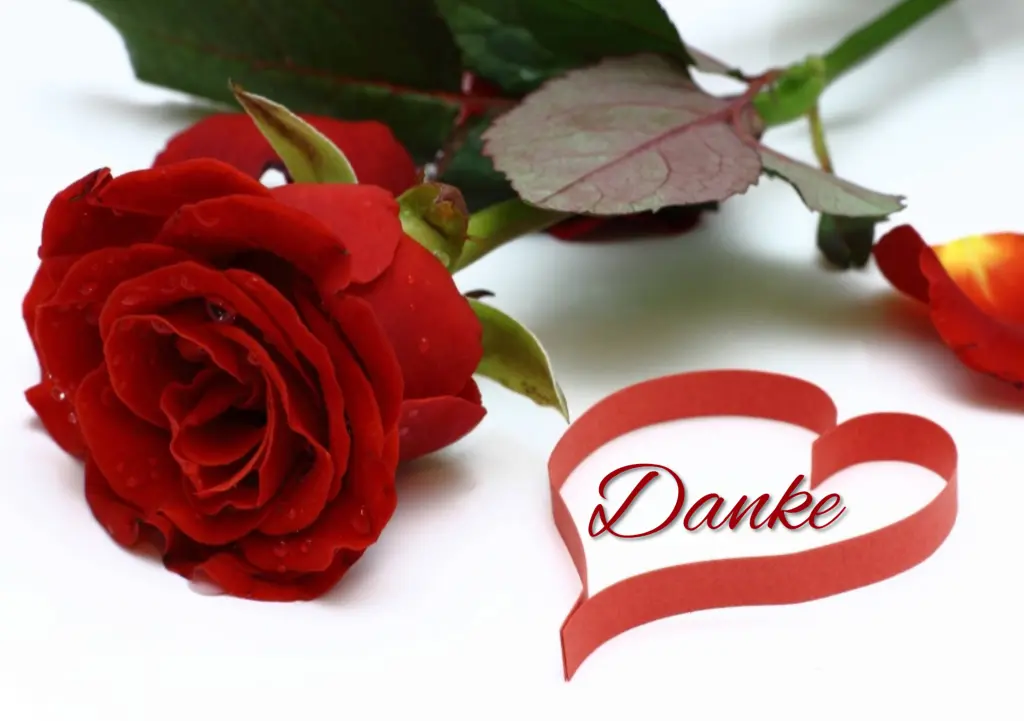 Condolence image of 𓂃🤍𓂃Dankeschön𓂃🤍𓂃