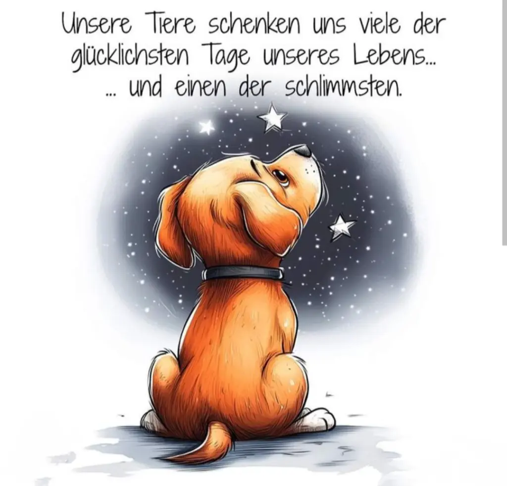 Condolence image of C.mit Skylar ganz tief im Herzen ❤️