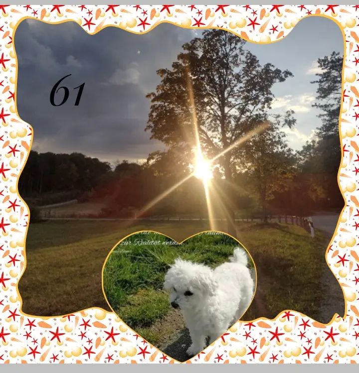 Condolence image of Corinna 🧡