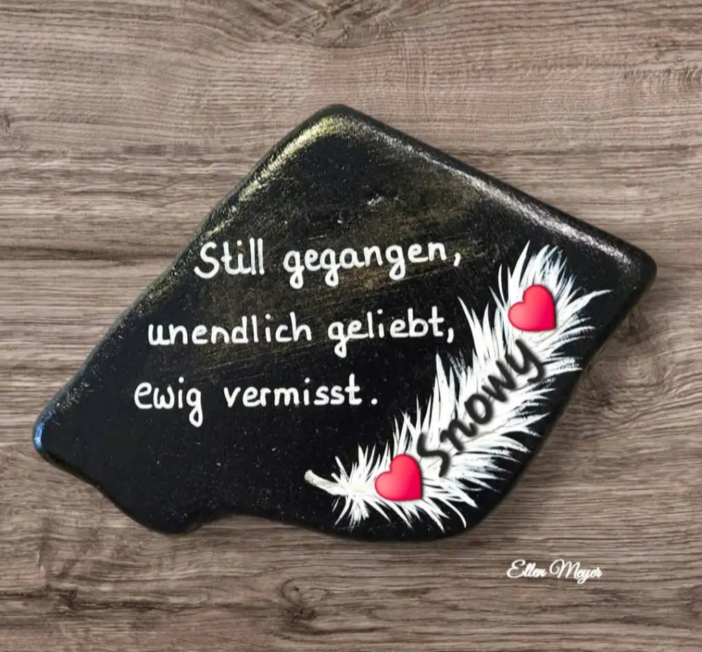 Condolence image of ♥️Snowy♥️für immer im Herzen♥️