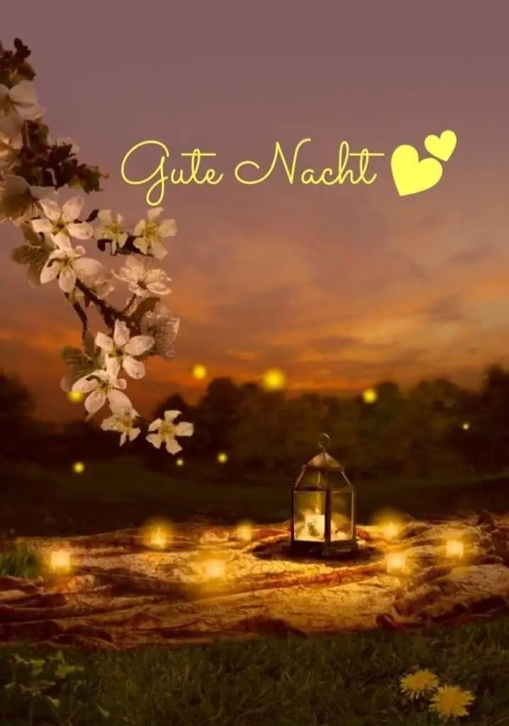 Condolence image of Heide mit Cita im Herzen❤️🐈‍⬛