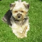 Image from Snowy ♡