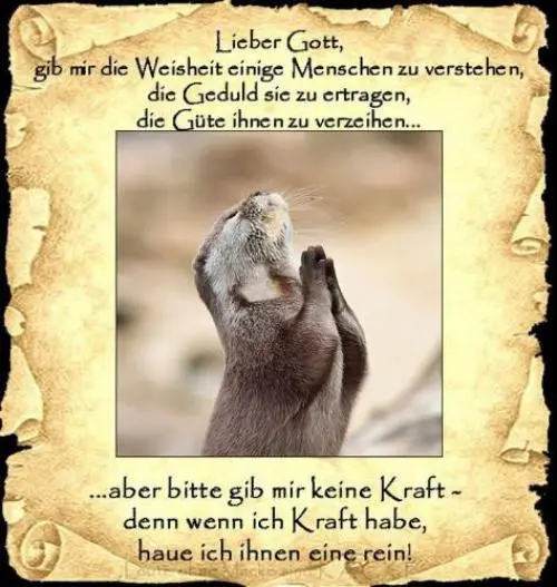 Image from an meine außergewöhnliche Sina