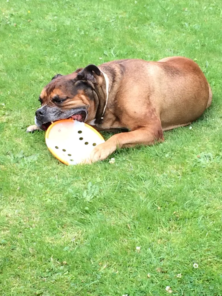 Andachtsbild von ChristelKlausi Specht